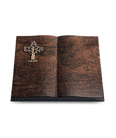 Livre/Aruba Baum 2 (Bronze)