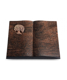 Livre/Aruba Baum 3 (Bronze)