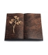 Livre/Aruba Gingozweig 1 (Bronze)