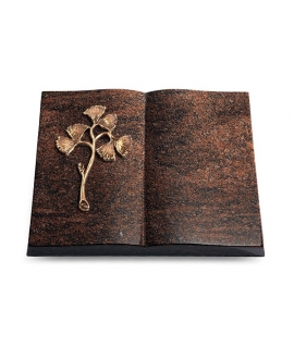 Livre/Aruba Gingozweig 1 (Bronze)