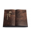 Livre/Aruba Rose 2 (Bronze)