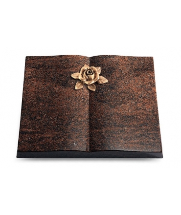 Livre/Aruba Rose 4 (Bronze)