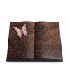 Livre/Aruba Papillon 1 (Color)