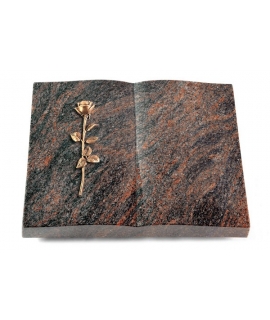 Livre/Englisch-Teak Rose 12 (Bronze)