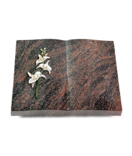 Livre/Englisch-Teak Orchidee (Color)
