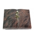 Livre/Englisch-Teak Rose 8 (Color)
