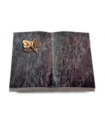 Livre/New Kashmir Rose 3 (Bronze)