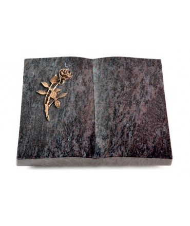 Livre/New Kashmir Rose 6 (Bronze)