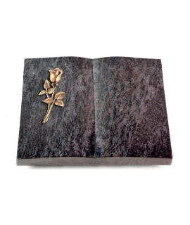 Livre/New Kashmir Rose 8 (Bronze)