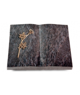 Livre/New Kashmir Rose 9 (Bronze)