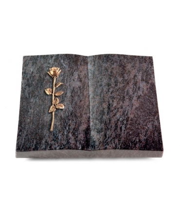 Livre/New Kashmir Rose 12 (Bronze)