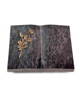 Livre/New Kashmir Rose 13 (Bronze)