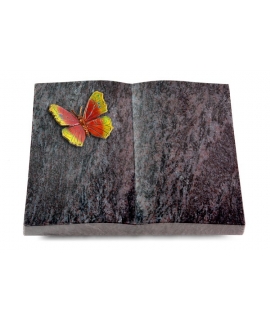 Livre/New Kashmir Papillon 2 (Color)