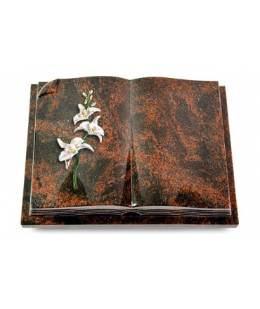 Livre Auris/Indisch-Black Orchidee (Color)