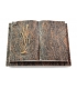 Livre Auris/Aruba Ähren 2 (Bronze)