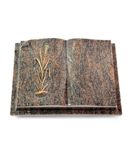 Livre Auris/Aruba Ähren 2 (Bronze)