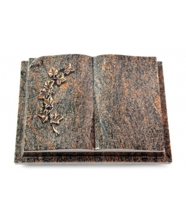 Livre Auris/Aruba Efeu (Bronze)