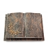 Livre Auris/Aruba Gingozweig 2 (Bronze)