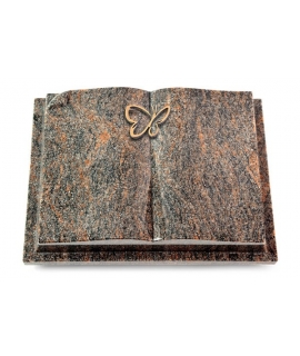 Livre Auris/Aruba Papillon (Bronze)