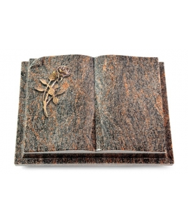 Livre Auris/Aruba Rose 6 (Bronze)