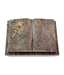 Livre Auris/Aruba Rose 8 (Bronze)