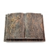 Livre Auris/Aruba Rose 9 (Bronze)
