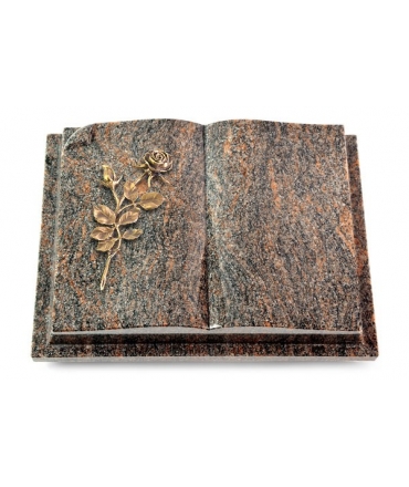 Livre Auris/Aruba Rose 13 (Bronze)