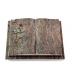 Livre Auris/Aruba Rose 7 (Color)