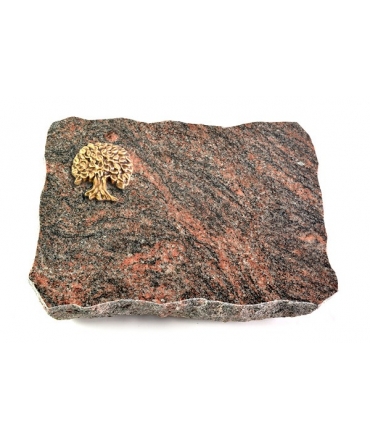 Himalaya Pure Baum 2 (Bronze)