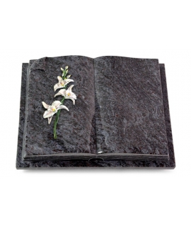 Livre Auris/Indisch-Black Orchidee (Color)