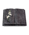 Livre Auris/Indisch-Black Orchidee (Color)