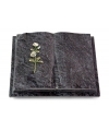 Livre Auris/Indisch-Black Rose 8 (Color)