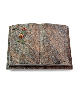 Livre Auris/Orion Rose 6 (Color)
