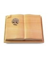 Livre Auris/Rainbow Baum 3 (Bronze)