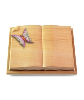 Livre Auris/Rainbow Papillon 1 (Color)