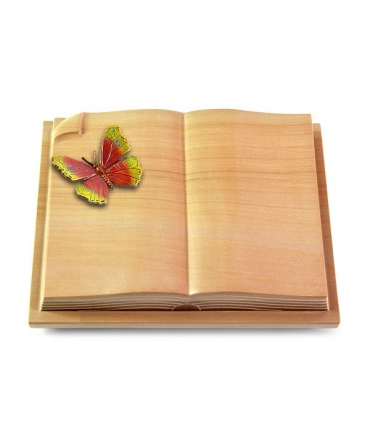 Livre Auris/Rainbow Papillon 2 (Color)