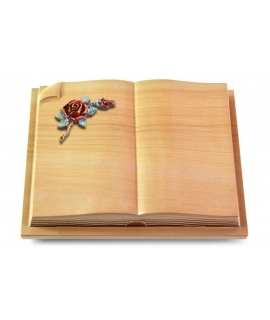 Livre Auris/Rainbow Rose 1 (Color)