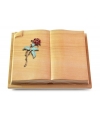 Livre Auris/Rainbow Rose 2 (Color)