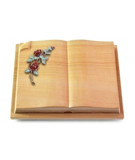 Livre Auris/Rainbow Rose 3 (Color)