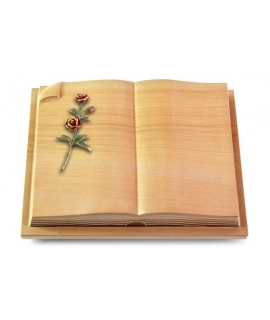 Livre Auris/Rainbow Rose 6 (Color)