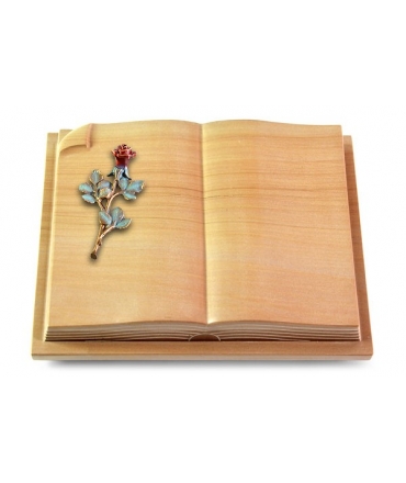 Livre Auris/Rainbow Rose 7 (Color)