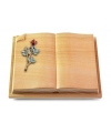 Livre Auris/Rainbow Rose 7 (Color)