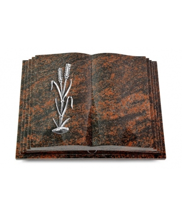 Livre Pagina/Orion Ähren 2 (Alu)