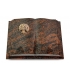 Livre Pagina/Orion Baum 3 (Bronze)