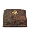 Livre Pagina/Orion Rose 4 (Bronze)