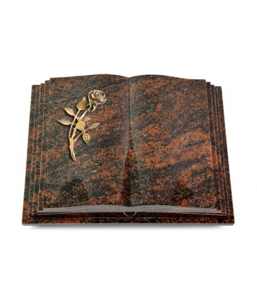 Livre Pagina/Orion Rose 6 (Bronze)