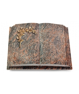 Livre Pagina/Aruba Gingozweig 2 (Bronze)