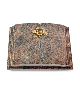 Livre Pagina/Aruba Rose 4 (Bronze)