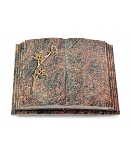 Livre Pagina/Aruba Rose 9 (Bronze)