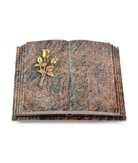 Livre Pagina/Aruba Rose 11 (Bronze)